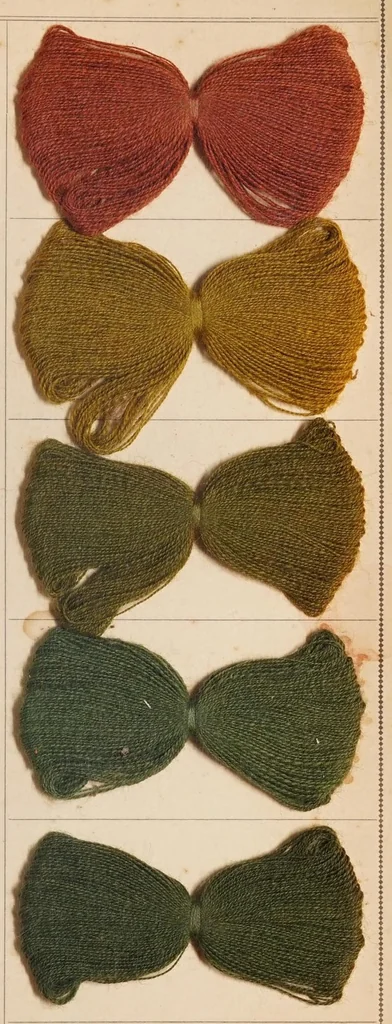An illustration from Waschechte Diazobraun und Diazoolive = Diazo browns and diazo olives fast to washing = Diazo bruns et diazo olive solides au lavage., 1911, leaf 7