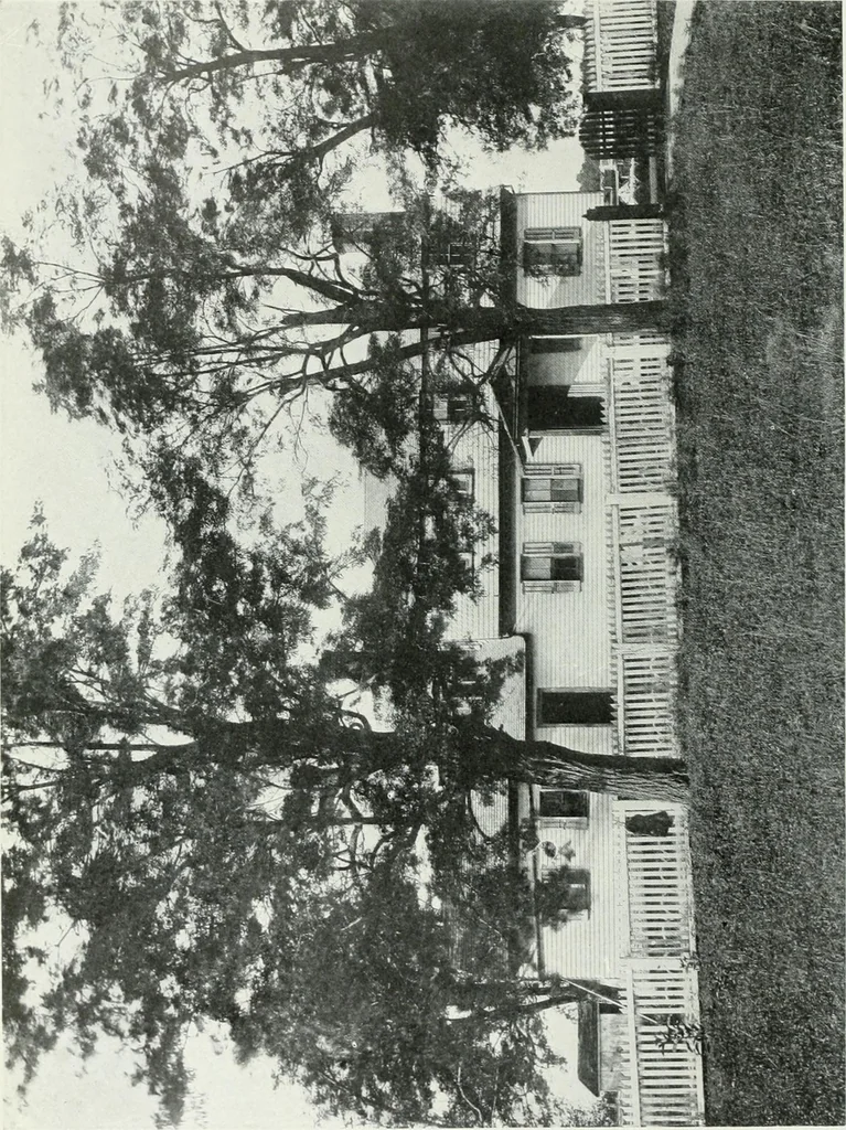 An illustration from Washington, the man and the mason,, 1913, leaf 197