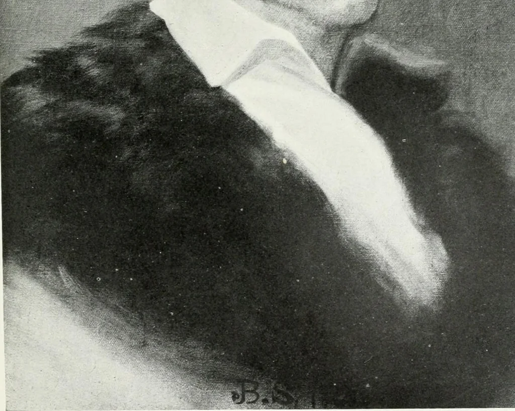 An illustration from Washington, the man and the mason,, 1913, leaf 352