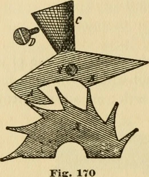 An illustration from Watch and clock escapements;, 1904, leaf 171