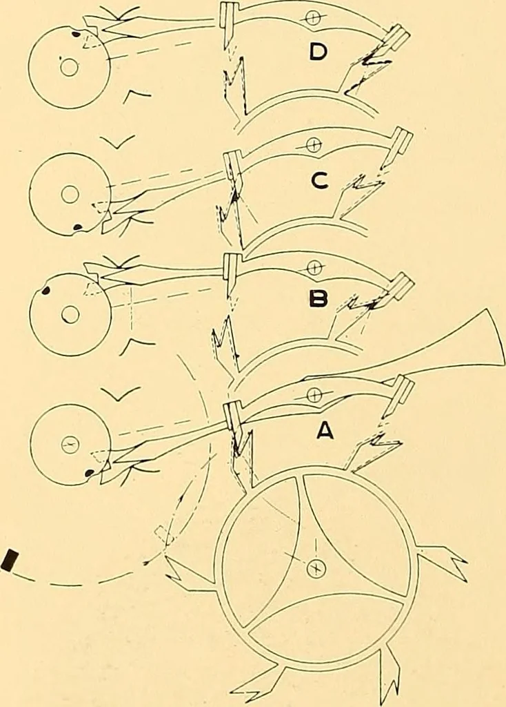 An illustration from Watches : the Paul M. Chamberlain collection at the Art Institute of Chicago, 1921, leaf 29