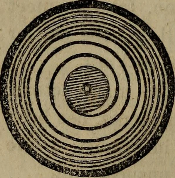 An illustration from The watch; its construction, its merits and defects, how to choose it, and how to use it, 1860, leaf 15