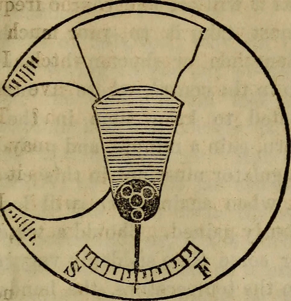 An illustration from The watch; its construction, its merits and defects, how to choose it, and how to use it, 1860, leaf 60