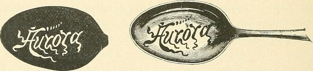 An illustration from Watchmakers' and jewelers' practical receipt book. A workshop companion .., 1892, leaf 71