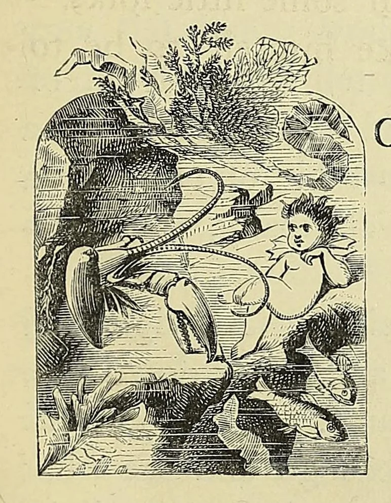 An illustration from The water-babies : a fairy tale for a land-baby, 1864, leaf 127