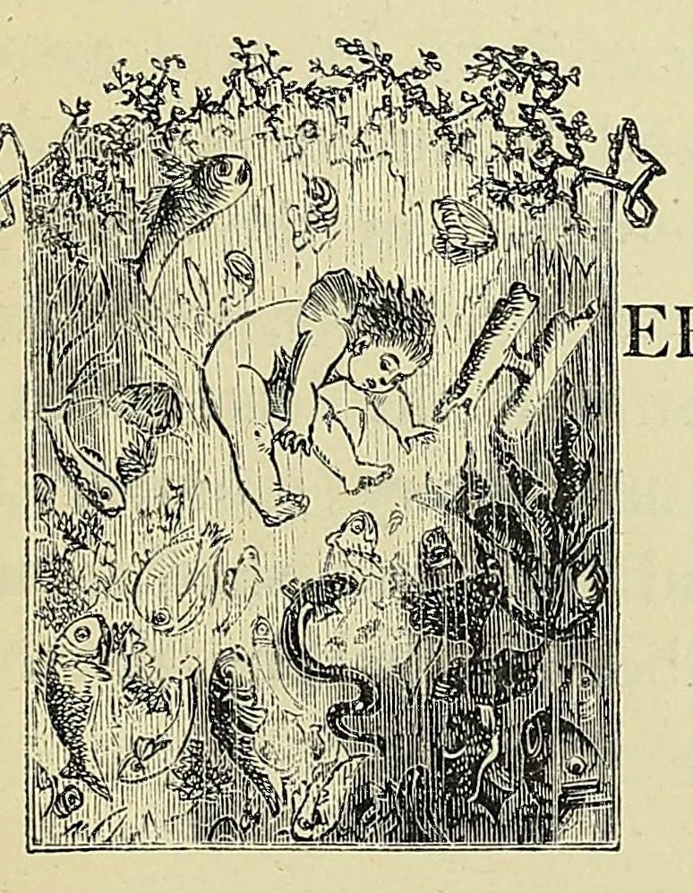 An illustration from The water-babies : a fairy tale for a land-baby, 1864, leaf 275