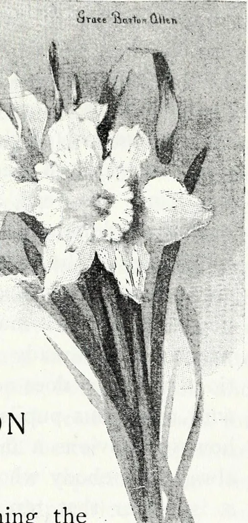 An illustration from Water color painting, a book of elementary instruction for beginners and amateurs. With illustrations by the author, 1898, leaf 14