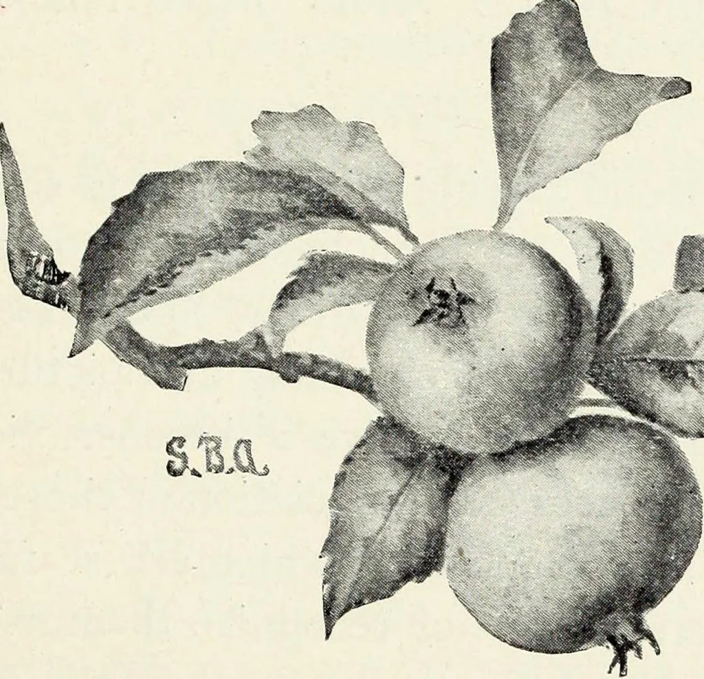 An illustration from Water color painting, a book of elementary instruction for beginners and amateurs. With illustrations by the author, 1898, leaf 166