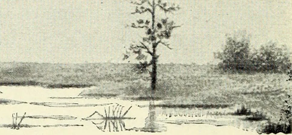 An illustration from Water color painting, a book of elementary instruction for beginners and amateurs. With illustrations by the author, 1898, leaf 167