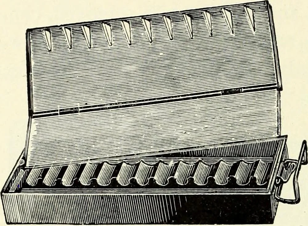 An illustration from Water color painting, a book of elementary instruction for beginners and amateurs. With illustrations by the author, 1898, leaf 81