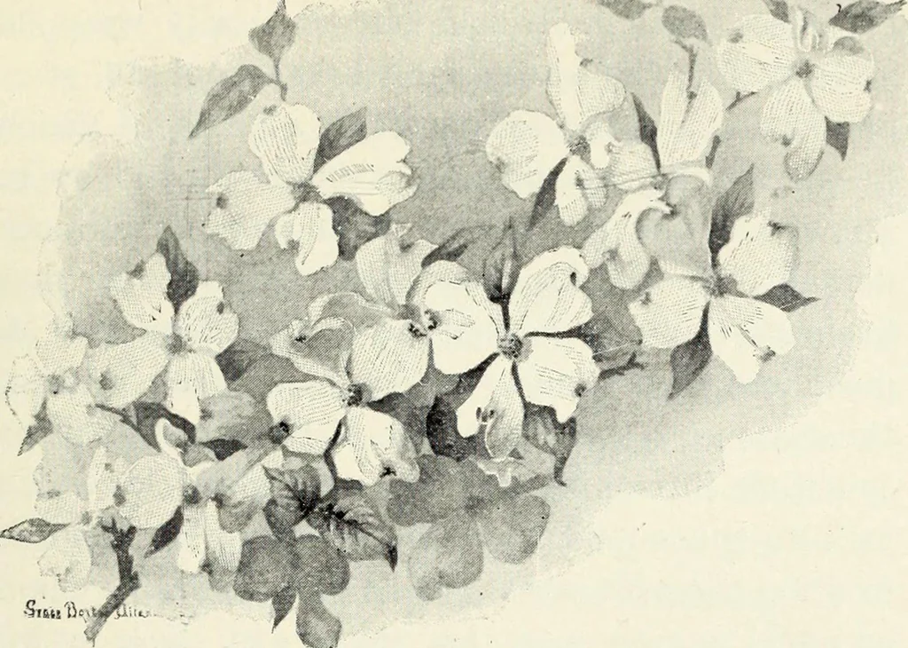 An illustration from Water color painting, a book of elementary instruction for beginners and amateurs. With illustrations by the author, 1898, leaf 86