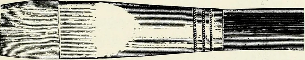 An illustration from Water color painting, a book of elementary instruction for beginners and amateurs. With illustrations by the author, 1898, leaf 96