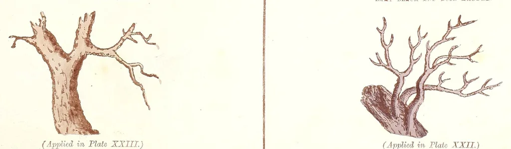 An illustration from Water colour without a master : upwards of two hundred examples of separate objects in landscape shown under various tints and afterwards composed into pictures : to which is added an index of tints, showing at a glance the various powers of the several colours and their compounds, 1855, leaf 39