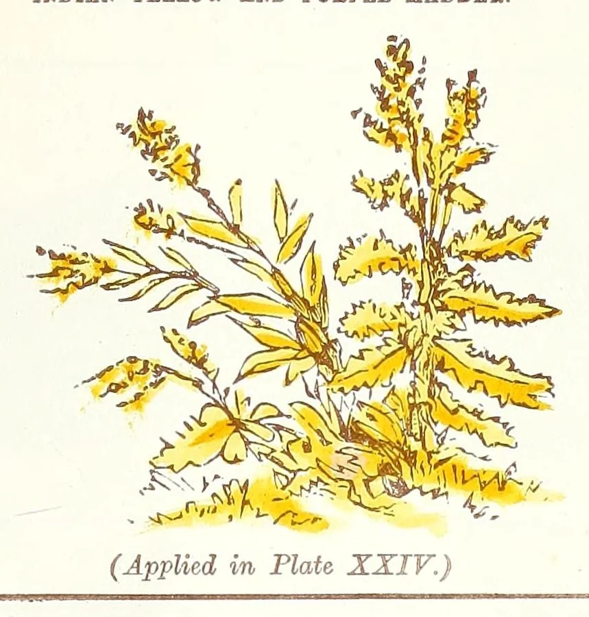 An illustration from Water colour without a master : upwards of two hundred examples of separate objects in landscape shown under various tints and afterwards composed into pictures : to which is added an index of tints, showing at a glance the various powers of the several colours and their compounds, 1855, leaf 49