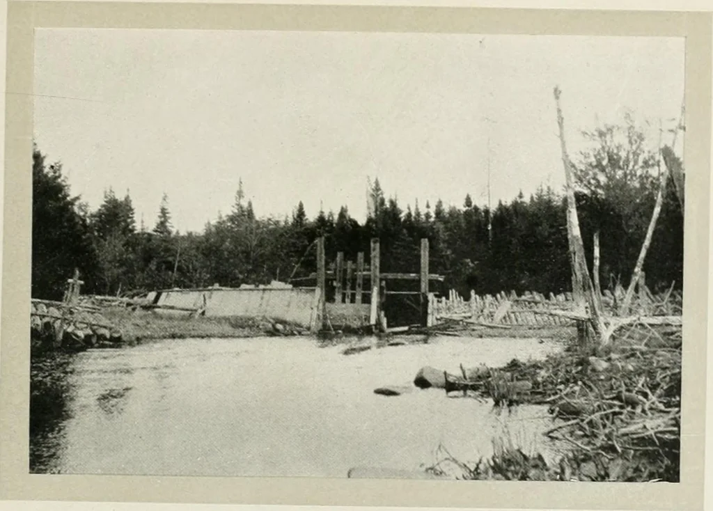 An illustration from Water-powers of Canada, 1911, leaf 290