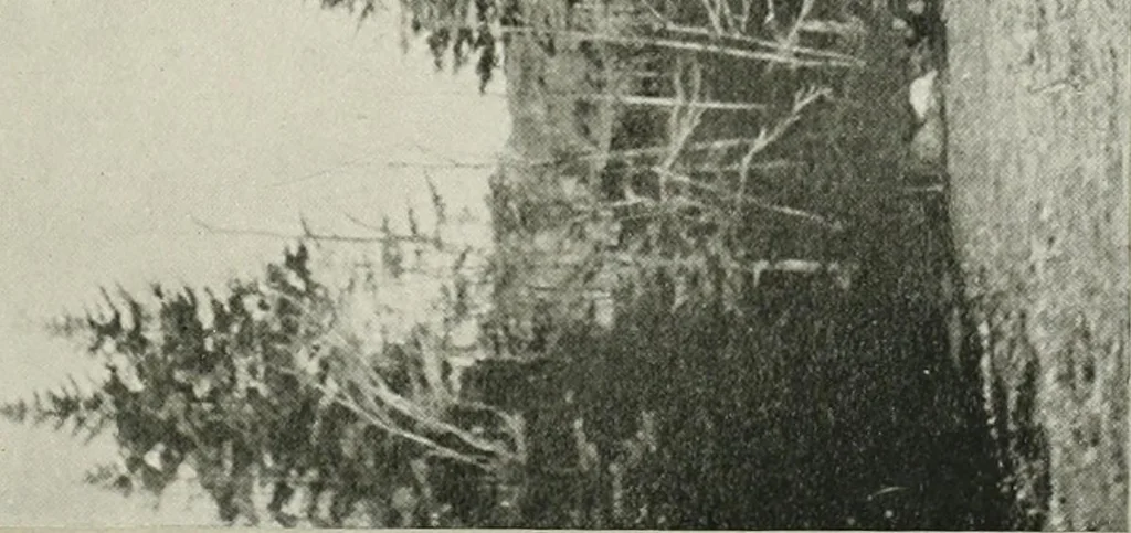 An illustration from Water-powers of Canada, 1911, leaf 296