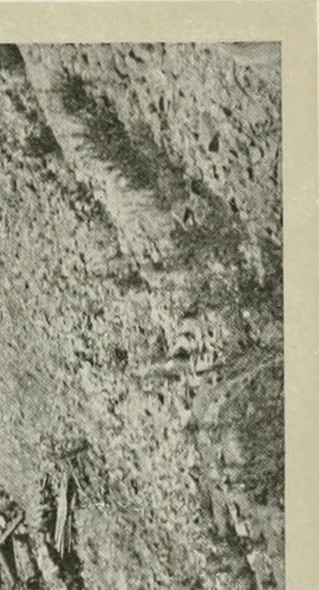 An illustration from Water-powers of Canada, 1911, leaf 408