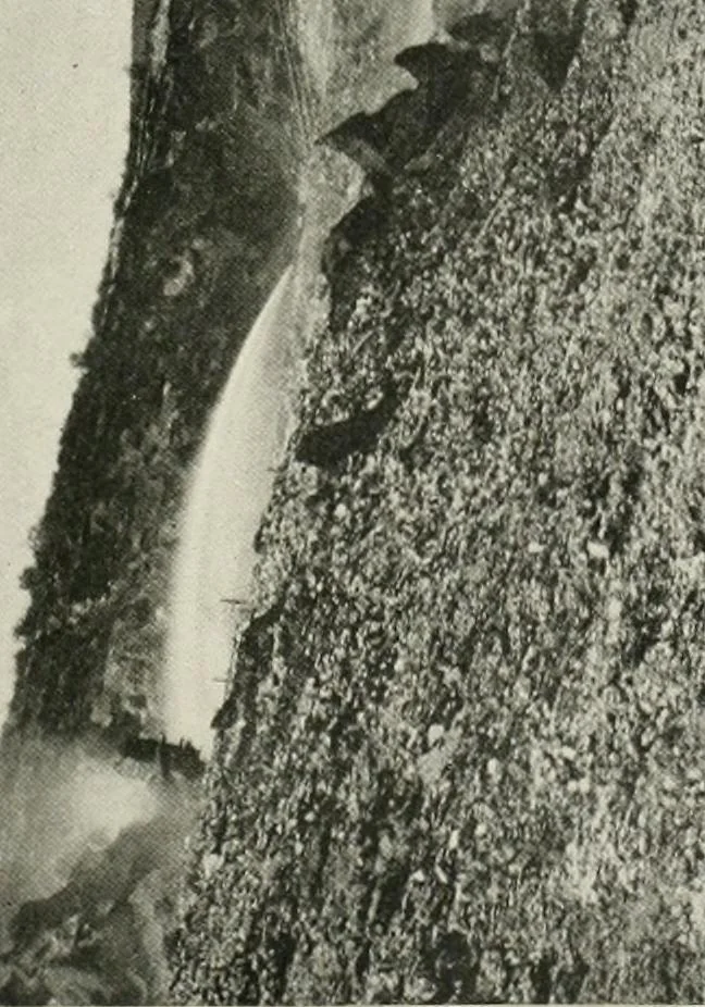 An illustration from Water-powers of Canada, 1911, leaf 408