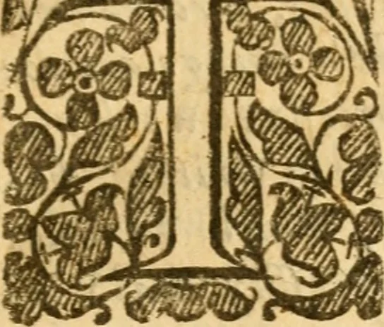 An illustration from A way to Sion, sought out, and found, for believers to walk in : or a treatise, consisting of three parts .., 1656, leaf 162