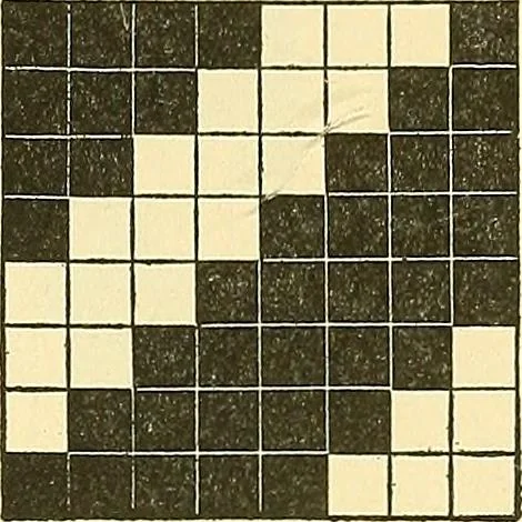 An illustration from Weave construction and cloth analysis : glossary of weaves, elementary textile designing, analysis of cotton fabrics, analysis of woolen and worsted fabrics, twill weaves and derivatives, satin and other weaves, combination weaves, construction of spot weaves, weaves for backed cotton fabrics, 1905, leaf 142