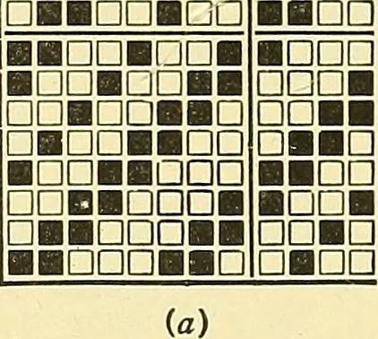 An illustration from Weave construction and cloth analysis : glossary of weaves, elementary textile designing, analysis of cotton fabrics, analysis of woolen and worsted fabrics, twill weaves and derivatives, satin and other weaves, combination weaves, construction of spot weaves, weaves for backed cotton fabrics, 1905, leaf 164