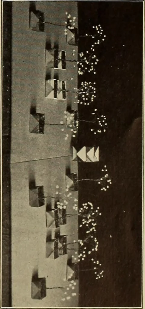 An illustration from The weaver's shuttle (weberschiffehen) .., 1914, leaf 12