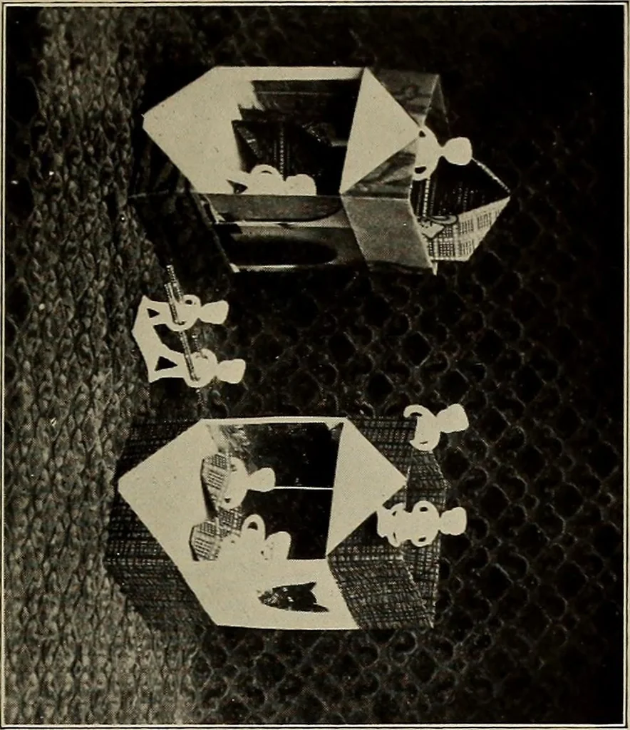 An illustration from The weaver's shuttle (weberschiffehen) .., 1914, leaf 30