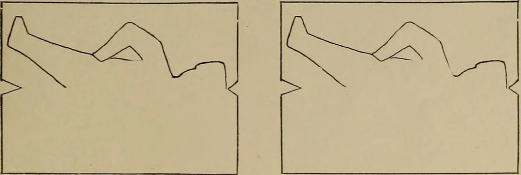 An illustration from The weaver's shuttle (weberschiffehen) .., 1914, leaf 44
