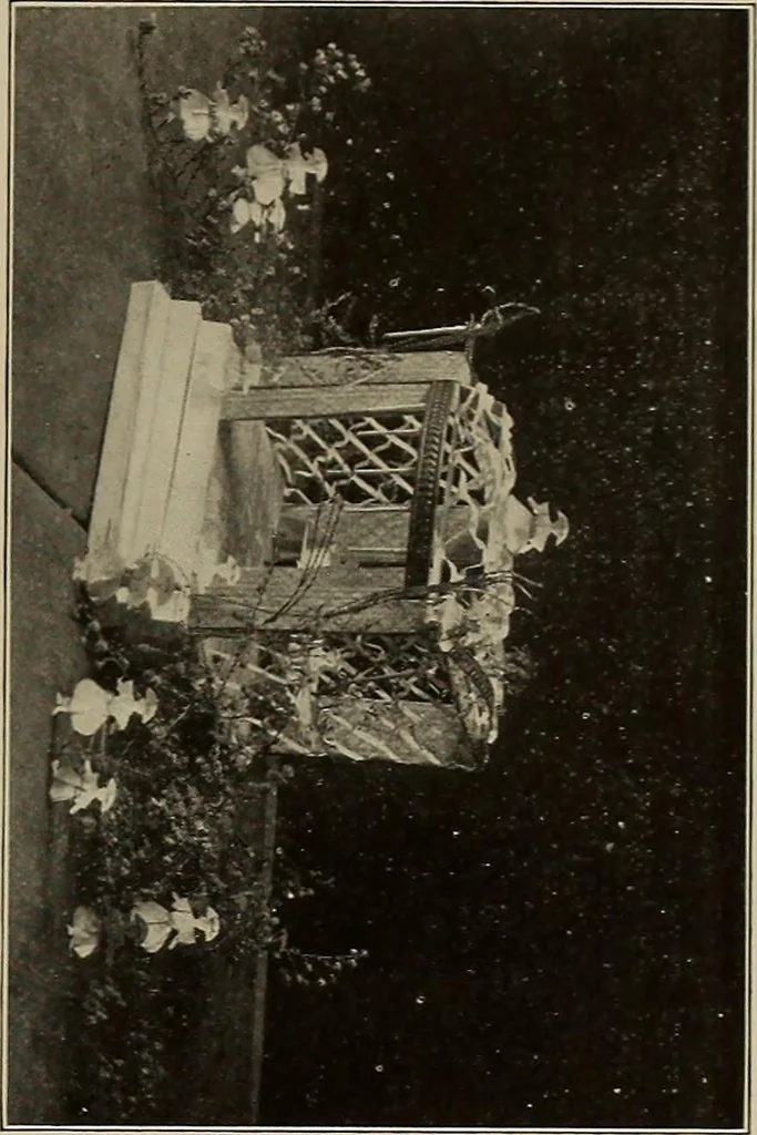 An illustration from The weaver's shuttle (weberschiffehen) .., 1914, leaf 50