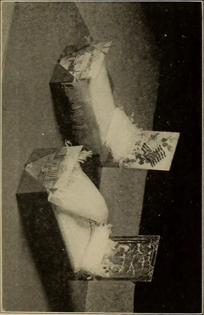 An illustration from The weaver's shuttle (weberschiffehen) .., 1914, leaf 50