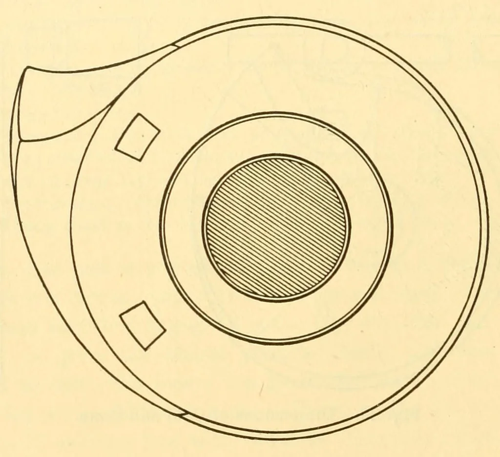 An illustration from Weaving : instruction paper, 1903, leaf 46