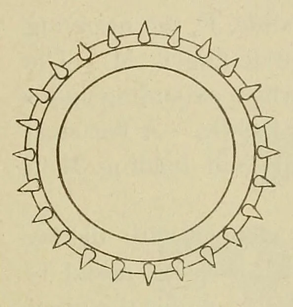 An illustration from Weaving ... Instruction paper .., 1900, leaf 47