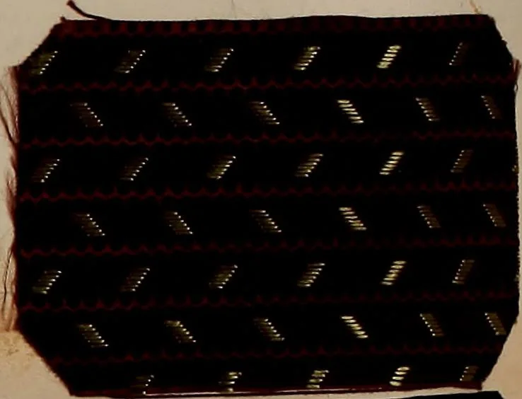 An illustration from [Weaving pattern and sample book, 1900, leaf 101