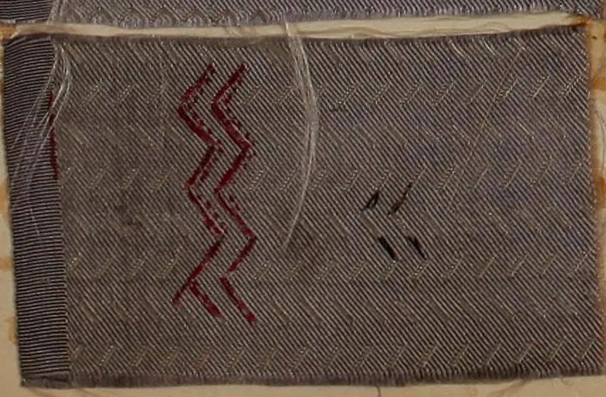 An illustration from [Weaving pattern and sample book, 1900, leaf 116