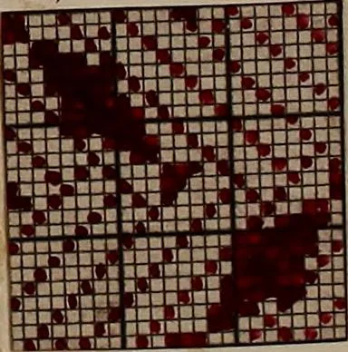 An illustration from [Weaving pattern and sample book, 1900, leaf 117