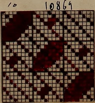 An illustration from [Weaving pattern and sample book, 1900, leaf 117