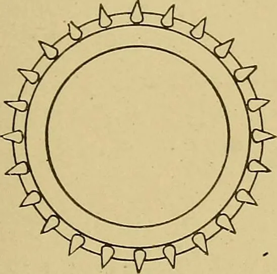 An illustration from Weaving; a practical guide to the mechanical construction, operation, and care of weaving machinery, and all details of the mechanical processes involved in weaving, 1909, leaf 232