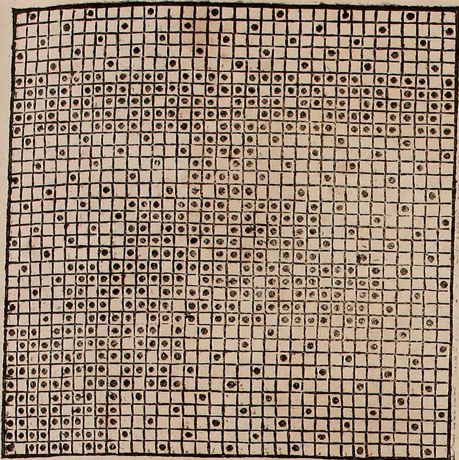 An illustration from Nützliches in lauter auserlesenen, wohl-approbirt- und meistentheils neu-inventirten Mustern bestehendes, Weber-Bild-Buch : als, zwey und siebenzig gesteinten Zeichnungen, von 15. bis auf 40. schäfftig und 32. Stück 16. und 20. schäfftigen Hin- und Wieder-Mödel, auch allerhand der nettesten Gattung von roth-gestreifften Arbeiten, sammt denen dazu gehörigen Zügen und Schnürungen : ingleichen allerhand nöthigen Bildern, auch Doppel-Kellisch, und einer Art von den Damast-Boden, 8. Flügel auf einen Bruch : dann eine Anweisung, wie sich diese Art Züg und Bilder zu halben Brüchen theilen, zerlegen, auch Doppel-Kellisch-Bilder so, wie man sie zum Gebrauch nöthig, selbst versetzen und verändern kan : wobey auch einer jeden Gattung insonderheit eine schrifftliche Anleitung voran gedruckt worden, 1783, leaf 150