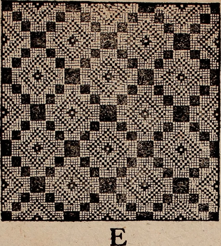 An illustration from Nützliches in lauter auserlesenen, wohl-approbirt- und meistentheils neu-inventirten Mustern bestehendes, Weber-Bild-Buch : als, zwey und siebenzig gesteinten Zeichnungen, von 15. bis auf 40. schäfftig und 32. Stück 16. und 20. schäfftigen Hin- und Wieder-Mödel, auch allerhand der nettesten Gattung von roth-gestreifften Arbeiten, sammt denen dazu gehörigen Zügen und Schnürungen : ingleichen allerhand nöthigen Bildern, auch Doppel-Kellisch, und einer Art von den Damast-Boden, 8. Flügel auf einen Bruch : dann eine Anweisung, wie sich diese Art Züg und Bilder zu halben Brüchen theilen, zerlegen, auch Doppel-Kellisch-Bilder so, wie man sie zum Gebrauch nöthig, selbst versetzen und verändern kan : wobey auch einer jeden Gattung insonderheit eine schrifftliche Anleitung voran gedruckt worden, 1783, leaf 186