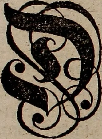 An illustration from Nützliches in lauter auserlesenen, wohl-approbirt- und meistentheils neu-inventirten Mustern bestehendes, Weber-Bild-Buch : als, zwey und siebenzig gesteinten Zeichnungen, von 15. bis auf 40. schäfftig und 32. Stück 16. und 20. schäfftigen Hin- und Wieder-Mödel, auch allerhand der nettesten Gattung von roth-gestreifften Arbeiten, sammt denen dazu gehörigen Zügen und Schnürungen : ingleichen allerhand nöthigen Bildern, auch Doppel-Kellisch, und einer Art von den Damast-Boden, 8. Flügel auf einen Bruch : dann eine Anweisung, wie sich diese Art Züg und Bilder zu halben Brüchen theilen, zerlegen, auch Doppel-Kellisch-Bilder so, wie man sie zum Gebrauch nöthig, selbst versetzen und verändern kan : wobey auch einer jeden Gattung insonderheit eine schrifftliche Anleitung voran gedruckt worden, 1783, leaf 6