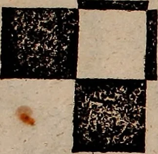 An illustration from Nützliches in lauter auserlesenen, wohl-approbirt- und meistentheils neu-inventirten Mustern bestehendes, Weber-Bild-Buch : als, zwey und siebenzig gesteinten Zeichnungen, von 15. bis auf 40. schäfftig und 32. Stück 16. und 20. schäfftigen Hin- und Wieder-Mödel, auch allerhand der nettesten Gattung von roth-gestreifften Arbeiten, sammt denen dazu gehörigen Zügen und Schnürungen : ingleichen allerhand nöthigen Bildern, auch Doppel-Kellisch, und einer Art von den Damast-Boden, 8. Flügel auf einen Bruch : dann eine Anweisung, wie sich diese Art Züg und Bilder zu halben Brüchen theilen, zerlegen, auch Doppel-Kellisch-Bilder so, wie man sie zum Gebrauch nöthig, selbst versetzen und verändern kan : wobey auch einer jeden Gattung insonderheit eine schrifftliche Anleitung voran gedruckt worden, 1783, leaf 60