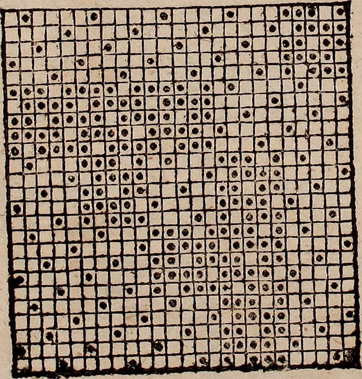 An illustration from Nützliches in lauter auserlesenen, wohl-approbirt- und meistentheils neu-inventirten Mustern bestehendes, Weber-Bild-Buch : als, zwey und siebenzig gesteinten Zeichnungen, von 15. bis auf 40. schäfftig und 32. Stück 16. und 20. schäfftigen Hin- und Wieder-Mödel, auch allerhand der nettesten Gattung von roth-gestreifften Arbeiten, sammt denen dazu gehörigen Zügen und Schnürungen : ingleichen allerhand nöthigen Bildern, auch Doppel-Kellisch, und einer Art von den Damast-Boden, 8. Flügel auf einen Bruch : dann eine Anweisung, wie sich diese Art Züg und Bilder zu halben Brüchen theilen, zerlegen, auch Doppel-Kellisch-Bilder so, wie man sie zum Gebrauch nöthig, selbst versetzen und verändern kan : wobey auch einer jeden Gattung insonderheit eine schrifftliche Anleitung voran gedruckt worden, 1783, leaf 84