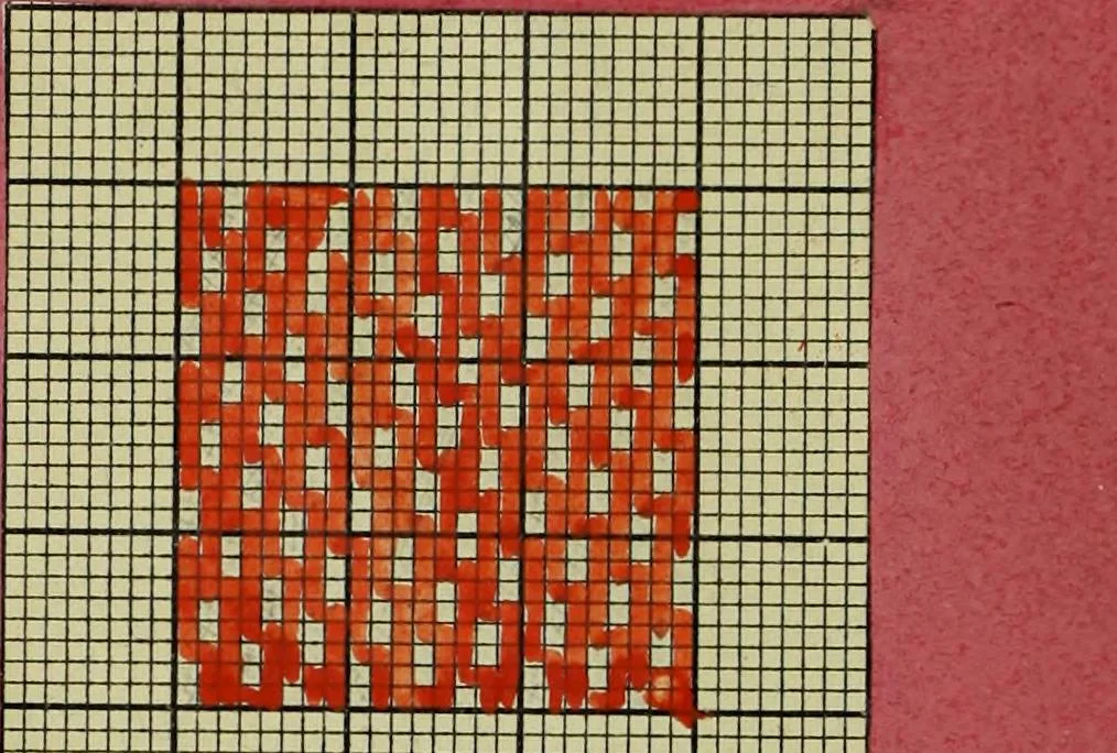 An illustration from [Weber Buch, 1893, leaf 31