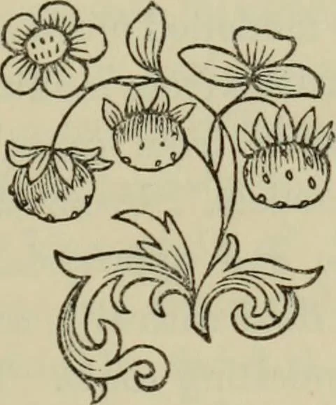 An illustration from The Wedgwood handbook : a manual for collectors : treating of the marks, monograms, and other tests of the old period of manufacture; also including the catalogues, with prices obtained at various sales, together with a glossary of terms, 1875, leaf 142