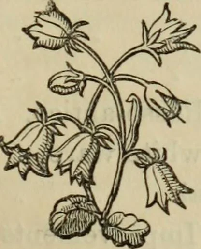 An illustration from The Wedgwood handbook : a manual for collectors : treating of the marks, monograms, and other tests of the old period of manufacture; also including the catalogues, with prices obtained at various sales, together with a glossary of terms, 1875, leaf 30