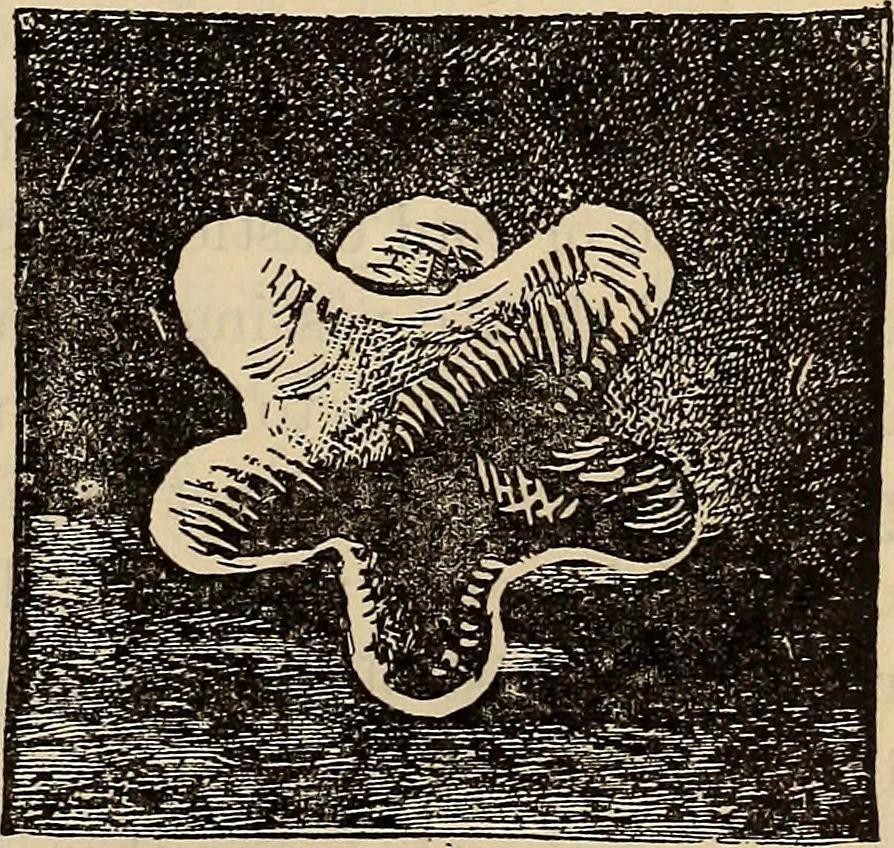 An illustration from Wehman Bros.' new book of one hundred and fifty parlor tricks and games : home-made apparatus, 1905, leaf 104