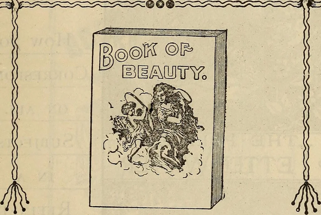 An illustration from Wehman Bros.' new book of one hundred and fifty parlor tricks and games : home-made apparatus, 1905, leaf 114