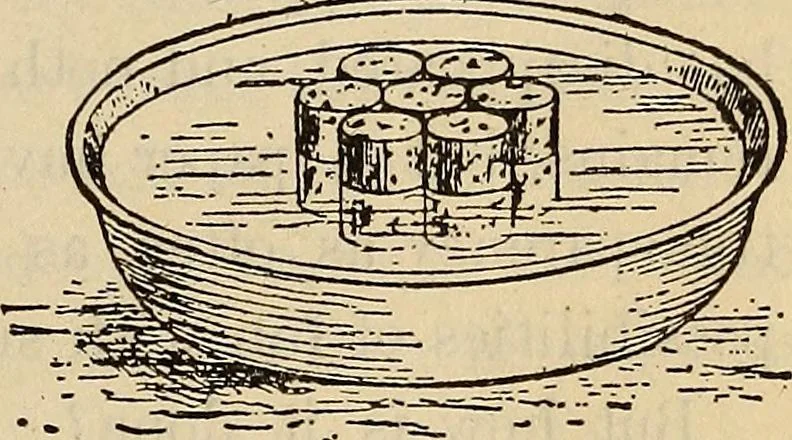 An illustration from Wehman Bros.' new book of one hundred and fifty parlor tricks and games : home-made apparatus, 1905, leaf 14
