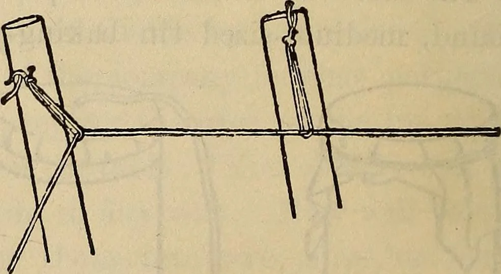 An illustration from Wehman Bros.' new book of one hundred and fifty parlor tricks and games : home-made apparatus, 1905, leaf 31