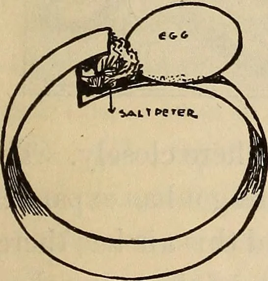 An illustration from Wehman Bros.' new book of one hundred and fifty parlor tricks and games : home-made apparatus, 1905, leaf 36